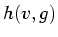 $ h(v,g)$