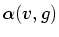 $\displaystyle \alpha (v,g)$