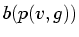 $\displaystyle b(p(v,g))$