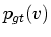 $ p_{gt}(v)$