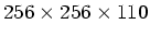 $ 256 \times 256 \times 110$