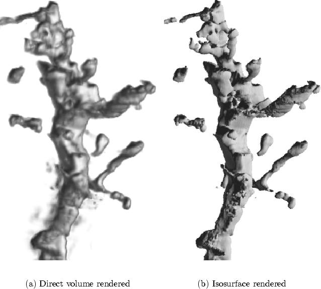 \begin{figure}
\setcounter {subfigure}{0} \centering {
\mbox{
\subfigure[Direc...
...ile=eps/pyramidal.srrf.clip.high.eps, width=0.45\textwidth}}
}
}
\end{figure}