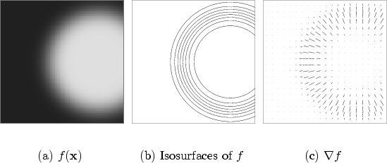 \begin{figure}\setcounter {subfigure}{0}\setlength {\figsz}{0.30\columnwidth}\...
...$]{
\epsfig {figure=eps/graddemo-vecs.eps,
width=\figsz}}
}
}
\end{figure}