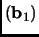 $\displaystyle ({\mathbf{b}}_1)$
