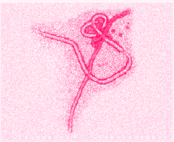 TEXAS CENTER FOR ADVANCED MOLECULAR COMPUTATION